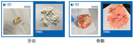 骨骼牙齒粉碎儀研磨實驗案例效果圖 骨骼牙齒粉碎儀研磨實驗案例效果圖