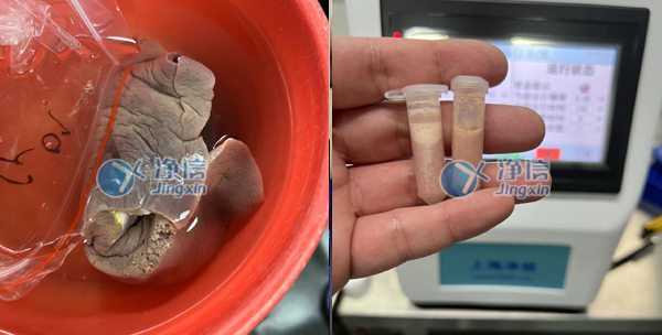 樣品研磨效果圖