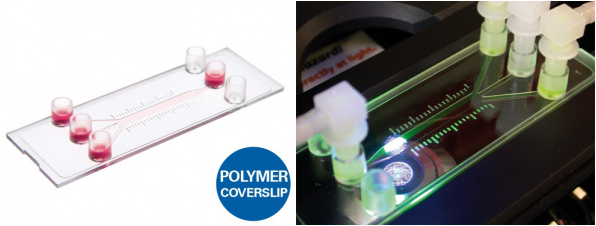 ibidi流體剪切力系統