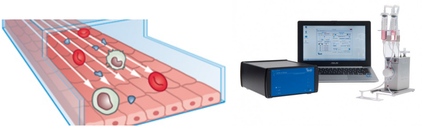 ibidi細胞流體培養