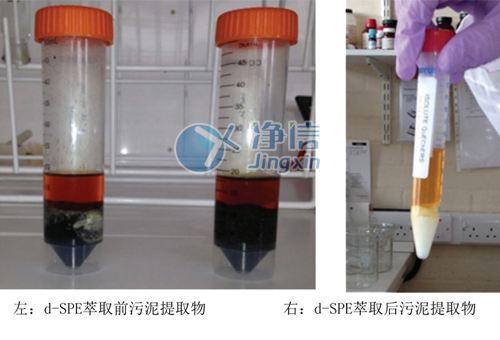 1717125382194026.jpg 746808227210.jpg