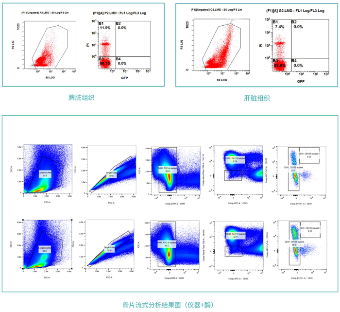 1760671857187676.png 813777827732.png