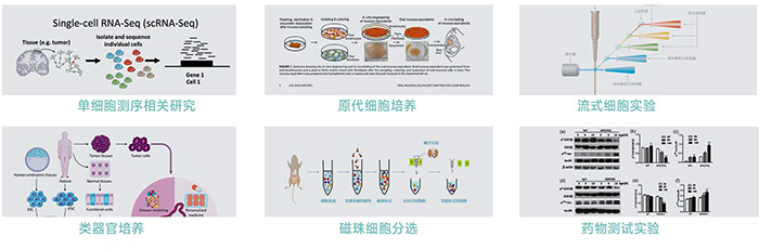 1768295961134459.jpg 821285041272.jpg