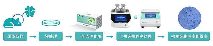 1768295977159503.jpg 821285078083.jpg