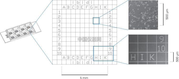 8 well帶格子3.jpg