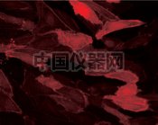 圖8.jpg