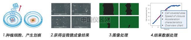 傷口愈合.jpg