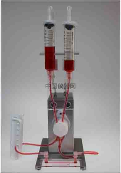 流體剪切力實驗：流體環(huán)境下的HUVEC細(xì)胞培養(yǎng)，真實還原體內(nèi)環(huán)境