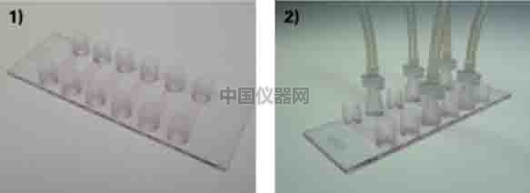 探討流體剪切力對(duì)細(xì)胞活動(dòng)的影響--流體剪切力對(duì)細(xì)胞吸收人造細(xì)胞器的影響