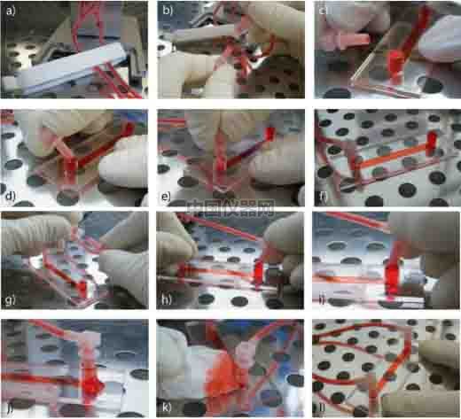 血管內(nèi)皮細胞模擬體內(nèi)流體環(huán)境