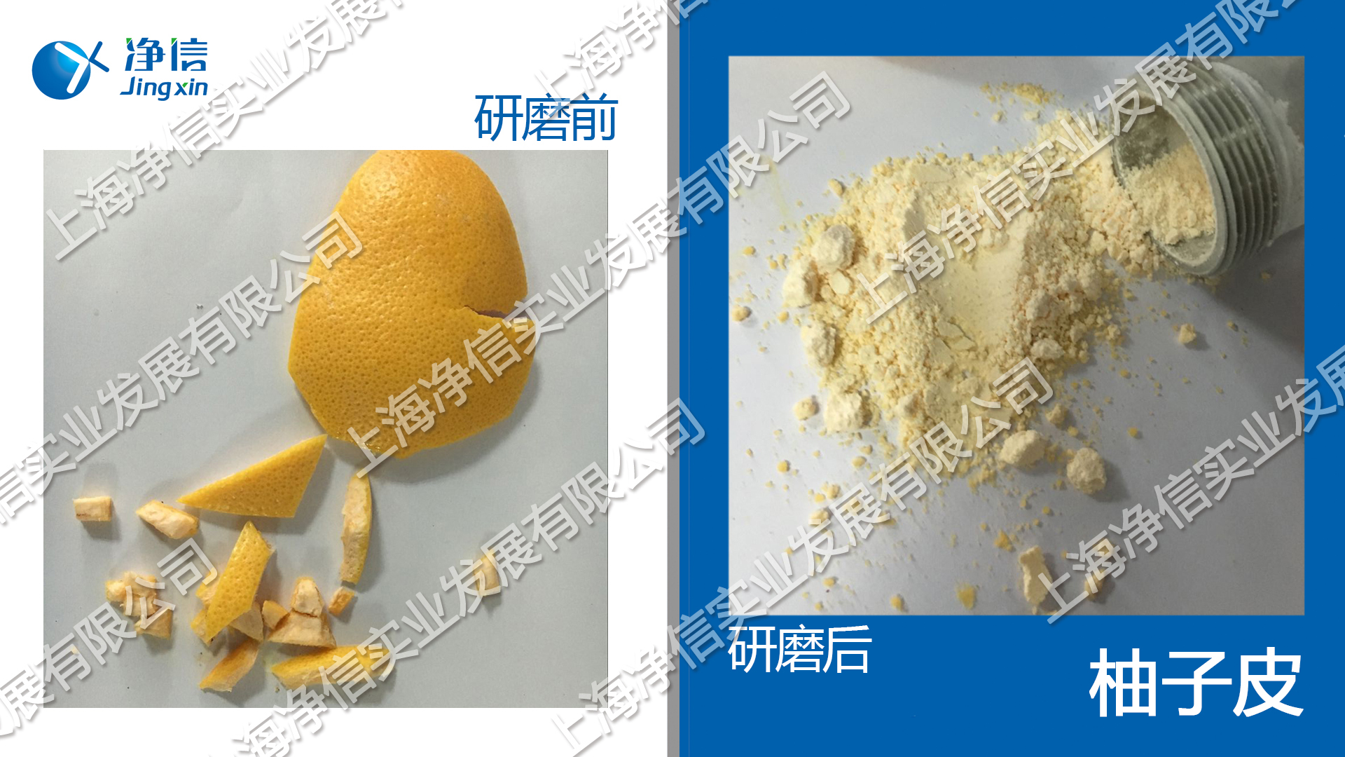 多樣品組織研磨儀 型號：Tissuelyser-96