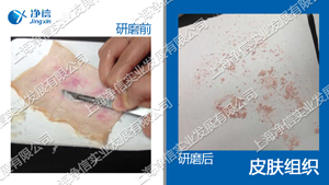 多樣品組織研磨機-48