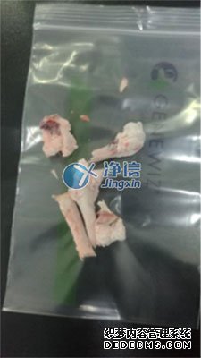 多樣品組織研磨機(jī)研磨兔子骨頭-上海凈信