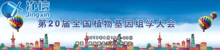 上海凈信圖一