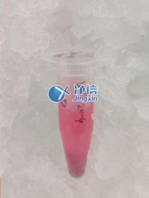 研磨效果圖