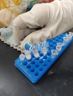 全自動(dòng)研磨效果圖