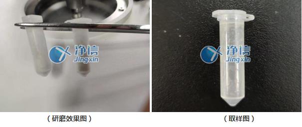 樣品研磨效果圖