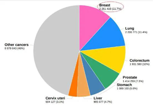 2020年全球常見新發(fā)癌癥類型及占比