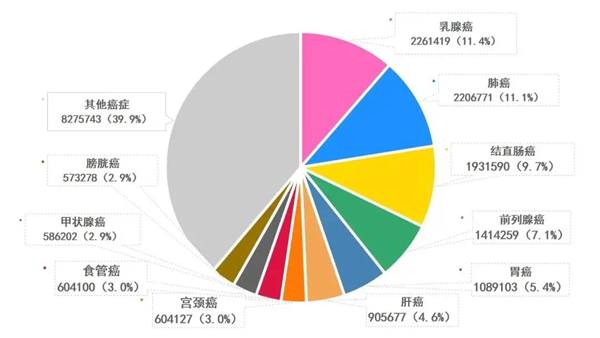 新發癌癥類型、人數及占比