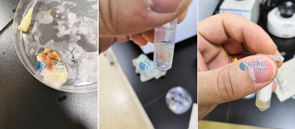 樣品研磨的實驗結果